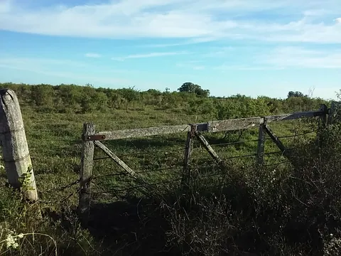 Campos en Gral. Campos 46 has. 2