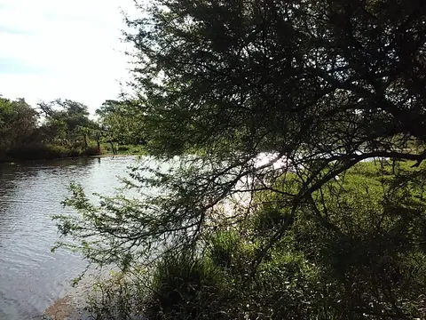 Campos en Gral. Campos 46 has. 3