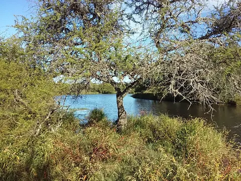 Campos en Gral. Campos 46 has. 4
