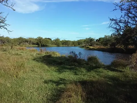 Campos en Gral. Campos 46 has. 5