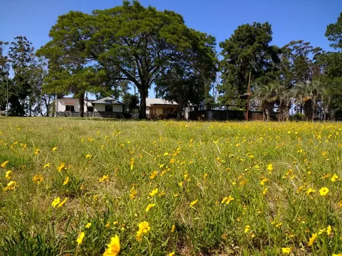 Casas en Camba Paso 4