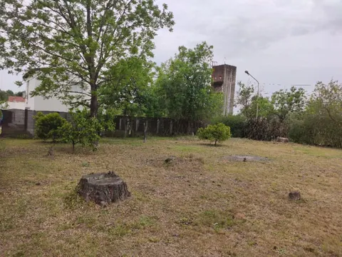 Terrenos en Las Rosas - Av. Msr Rösch 2