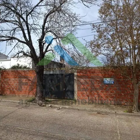 Terrenos en Balcarce (entre Alvear y Laprida) 2