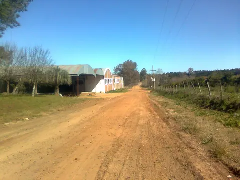 Galpones en O. Magnasco 1